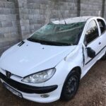 پژو ۲۰۶ تصادفی