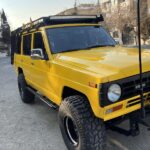 پاترول تصادفی