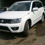 ویتارا تصادفی