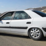 زانتیا تصادفی