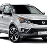 سانگ یانگ تصادفی