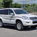 پرادو تصادفی